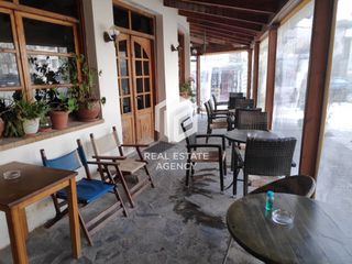 Κατάστημα 117 τ.μ. για πώληση, Εβρος, Αλεξανδρούπολη-thumb-3
