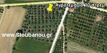 Αγροτεμάχια 10.000 τ.μ. για πώληση, Ν. Ηλείας, Αμαλιάδα