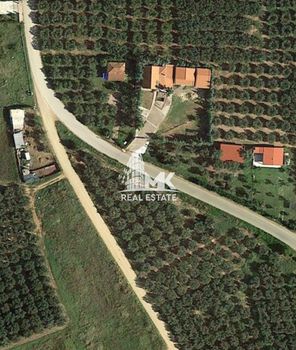 Parcel 2.500sqm for sale-Moudania » Agios Mamas