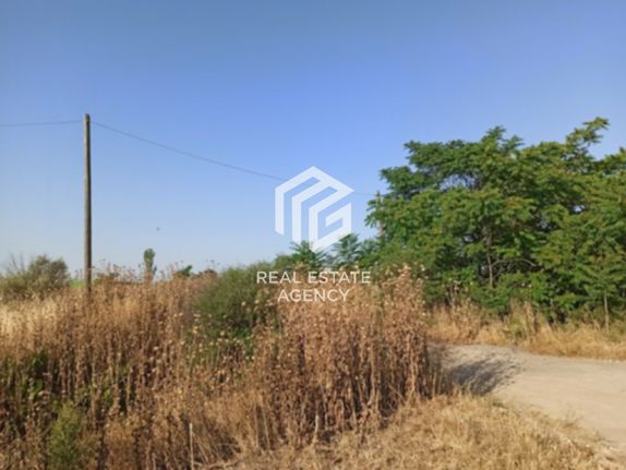 Αγροτεμάχια 16.487 τ.μ. για πώληση, Ν. Λάρισας, Λάρισα