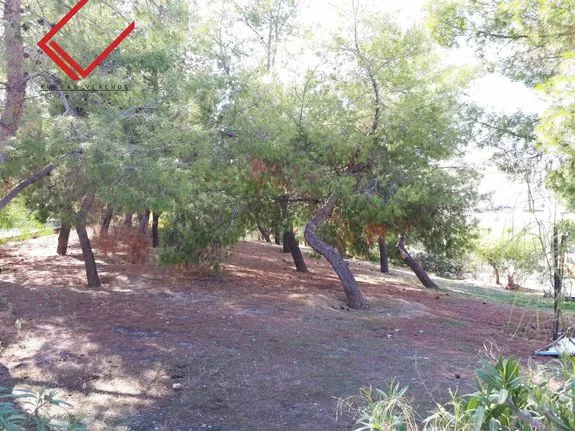 Land plot 660 sqm for sale, Athens - South, Voula