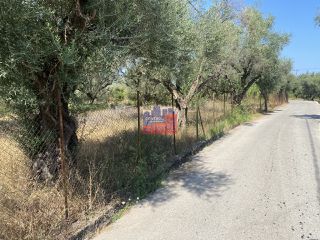 Αγροτεμάχια 3.000 τ.μ. για πώληση