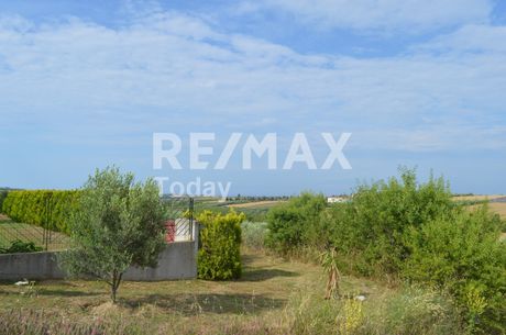 Parcel 4.000sqm for sale-Epanomi » Mesimeri