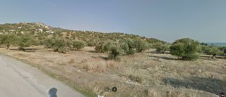 Αγροτεμάχια 5.142 τ.μ. για πώληση