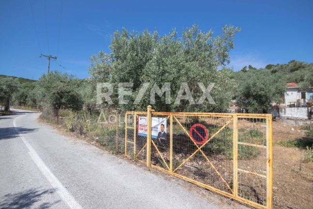 Αγροτεμάχια 19.852 τ.μ. για πώληση, Μαγνησία, Τρικέρι