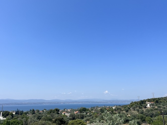Μονοκατοικία 100 τ.μ. πρός πώληση, Εύβοια, Ερέτρια