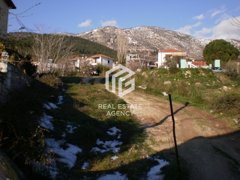 Οικόπεδο 1.016 τ.μ. πρός πώληση, Μαγνησία, Ιωλκός