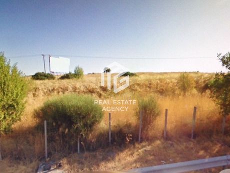 Αγροτεμάχια 11.172τ.μ. για πώληση-Αυλίδα » Ριτσώνα