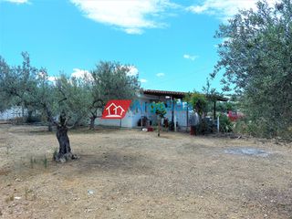 Μονοκατοικία 110 τ.μ. για πώληση, Αργολίδα, Κρανίδι-thumb-21