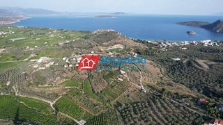Αγροτεμάχια 4.000 τ.μ. προς πώληση, Τολό-thumb-12