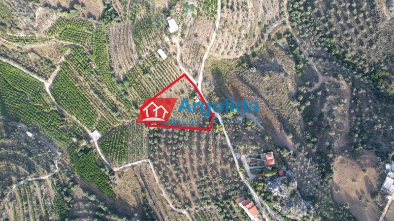 Αγροτεμάχια 4.000 τ.μ. προς πώληση, Τολό