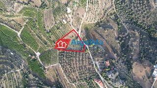Αγροτεμάχια 4.000 τ.μ. προς πώληση, Τολό-thumb-2