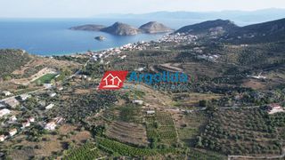 Αγροτεμάχια 4.000 τ.μ. προς πώληση, Τολό-thumb-10
