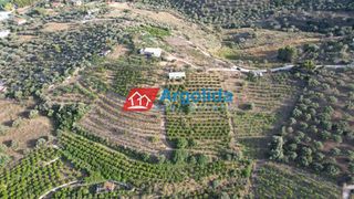 Αγροτεμάχια 4.000 τ.μ. προς πώληση, Τολό-thumb-9