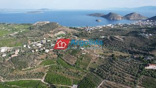 Αγροτεμάχια 4.000 τ.μ. προς πώληση, Τολό-thumb-11
