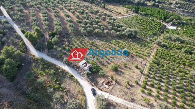Αγροτεμάχια 4.000 τ.μ. προς πώληση, Τολό
