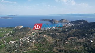 Αγροτεμάχια 4.000 τ.μ. προς πώληση, Τολό-thumb-14