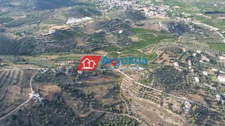 Αγροτεμάχια 4.000 τ.μ. προς πώληση, Τολό-thumb-19