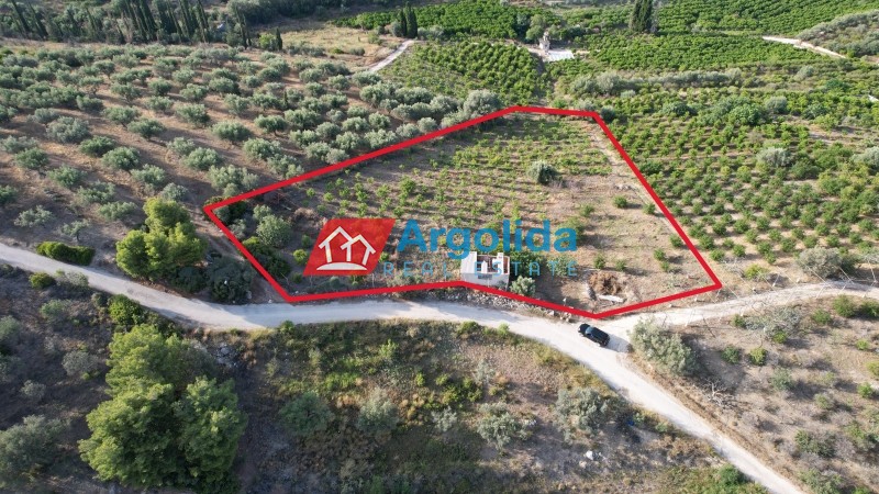 Αγροτεμάχια 4.000 τ.μ. προς πώληση, Τολό