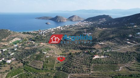 Αγροτεμάχια 4.000τ.μ. για πώληση-Ασίνη » Τολό
