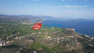 Αγροτεμάχια 4.000 τ.μ. προς πώληση, Τολό-thumb-17