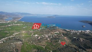 Αγροτεμάχια 4.000 τ.μ. προς πώληση, Τολό-thumb-16
