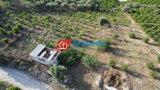 Αγροτεμάχια 4.000 τ.μ. προς πώληση, Τολό-thumb-15