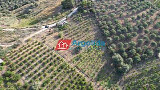 Αγροτεμάχια 4.000 τ.μ. προς πώληση, Τολό-thumb-5