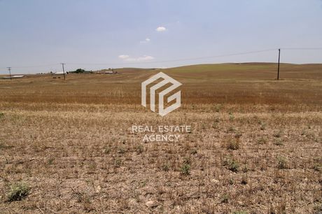 Αγροτεμάχια 106.088 τ.μ. για πώληση
