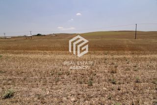 Αγροτεμάχια 106.088 τ.μ. για πώληση