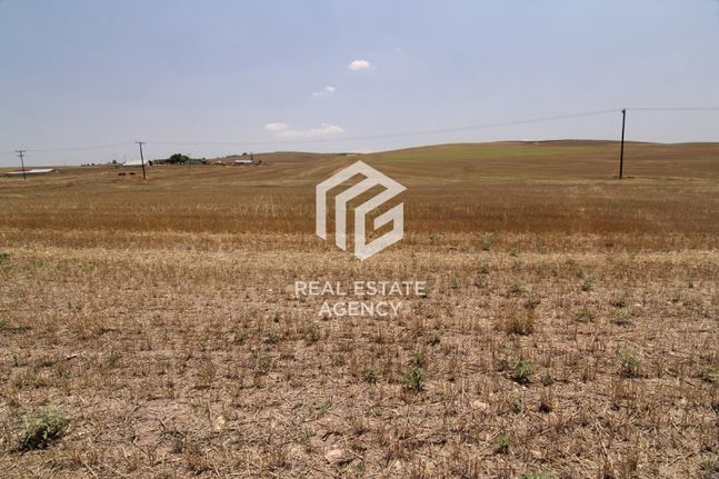 Αγροτεμάχια 106.088 τ.μ. για πώληση, Ν. Λάρισας, Νίκαια