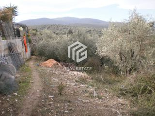 Οικόπεδο 1.006 τ.μ. προς πώληση, Μαγνησία, Πτελεός-thumb-2