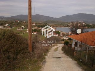 Οικόπεδο 1.006 τ.μ. προς πώληση, Μαγνησία, Πτελεός-thumb-1