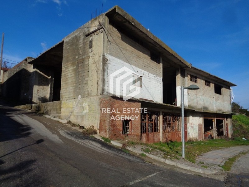 Βιομηχανικός χώρος 1.433 τ.μ. πρός πώληση, Βοιωτία, Θεσπιές