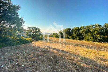 Αγροτεμάχια 6.160 τ.μ. για πώληση