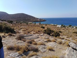 Οικόπεδο 6.000 τ.μ. για πώληση, Εύβοια, Κάρυστος-thumb-1