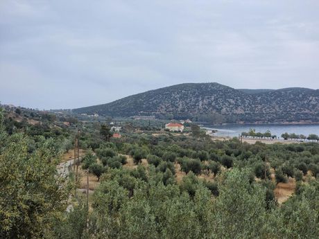 Μονοκατοικία 200 τ.μ. για πώληση