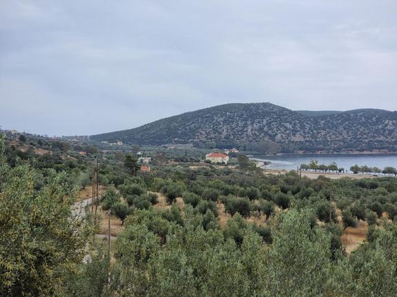 Μονοκατοικία 200 τ.μ. για πώληση, Αργολίδα, Κρανίδι