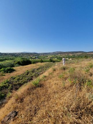 Land plot 4.100 sqm for sale, Athens - East, Artemida (loutsa)