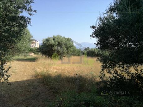 Οικόπεδο 2.000τ.μ. για πώληση-Πάτρα » Κοτρώνι