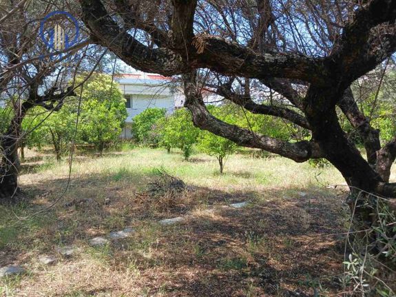 Land plot 1.103 sqm for sale, Achaia, Messatida