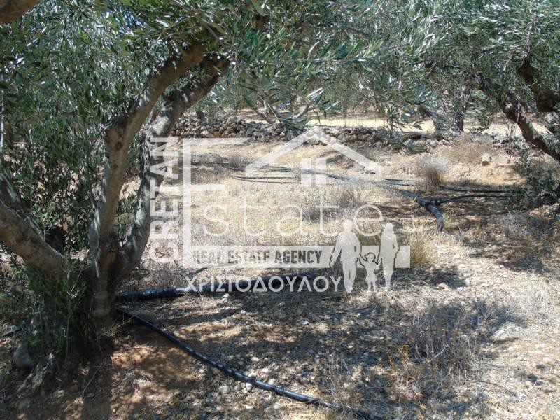 Μονοκατοικία 70 τ.μ. πρός πώληση, Ν. Λασιθίου, Ιεράπετρα