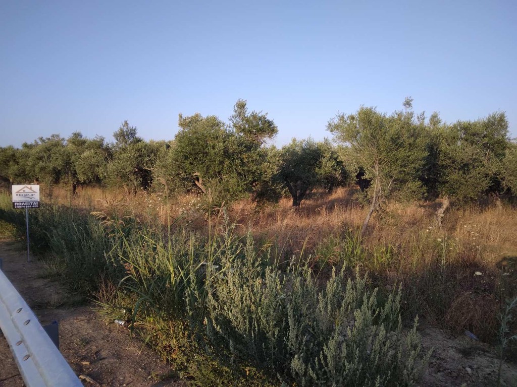 Οικόπεδο 6.056 τ.μ. για πώληση, Μεσσηνία, Νέστορας
