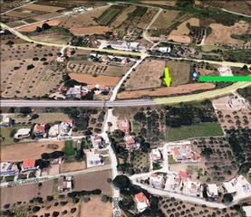 Αγροτεμάχια 4.500 τ.μ. για πώληση