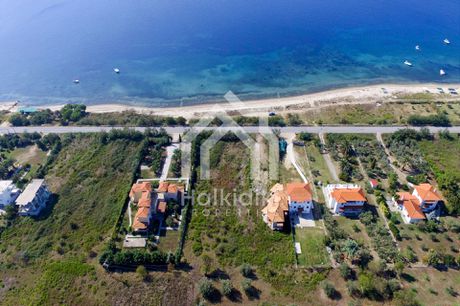 Αγροτεμάχια 2.500 τ.μ. για πώληση