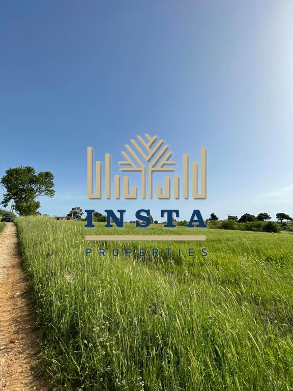 Parcel 4.050 sqm for sale, Rest Of Attica, Com. Kapandriti