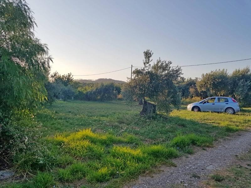 Οικόπεδο 1.000 τ.μ. προς πώληση, Πεύκη Αρτεμισίου