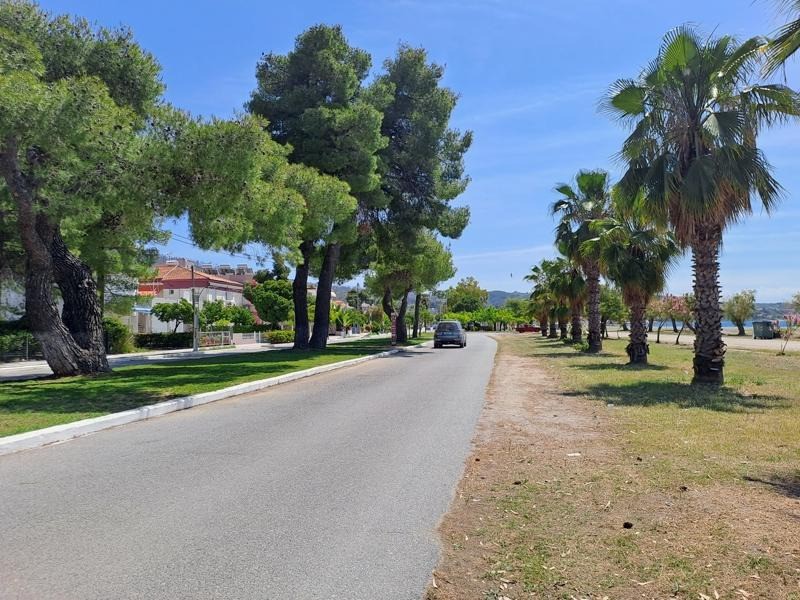 Οικόπεδο 1.000 τ.μ. προς πώληση, Πεύκη Αρτεμισίου