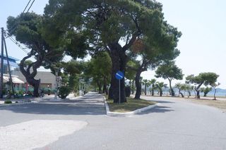 Αγροτεμάχια 4.174 τ.μ. προς πώληση, Πεύκη Αρτεμισίου-thumb-1