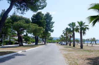 Αγροτεμάχια 4.174 τ.μ. προς πώληση, Πεύκη Αρτεμισίου-thumb-2